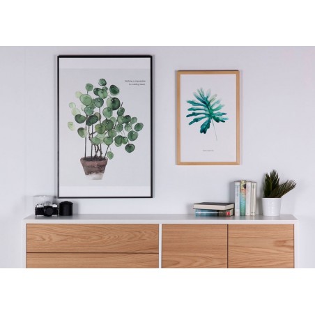 Cuadro FERN 40x60cm con marco y cristal