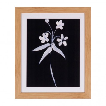 Cuadro LILY 25x30cm con marco y cristal