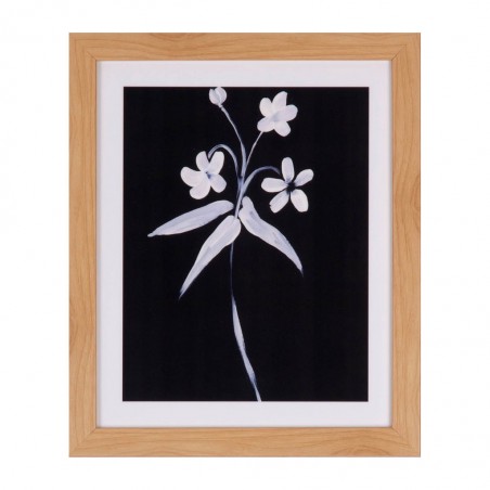 Cuadro LILY 25x30cm con marco y cristal