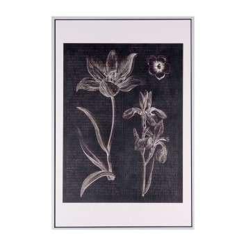 Cuadro FLOWERS 40x60cm con marco
