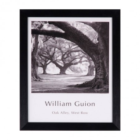 Cuadro PARK negro 25x30cm