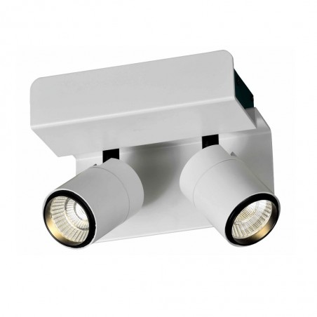 Aplique pared o techo LED BORACAY 2 luces tono cálido