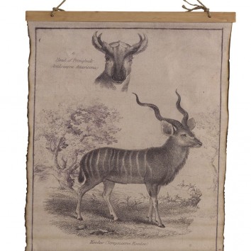 Cuadro banderola vintage antílope 65x85cm 2