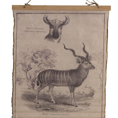 Cuadro banderola vintage antílope 65x85cm