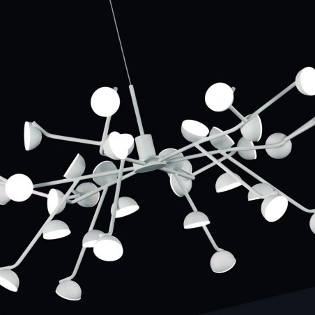 Lámpara de techo altura regulable ADN 36 luces LED