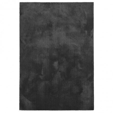 Alfombra TOUCH VIII lavable a máquina - varios tamaños