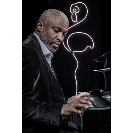 Cuadro diseño flamenco con luz LED integrada