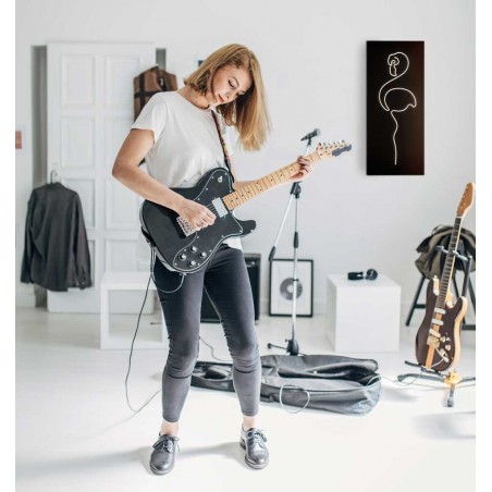 Cuadro diseño flamenco con luz LED integrada