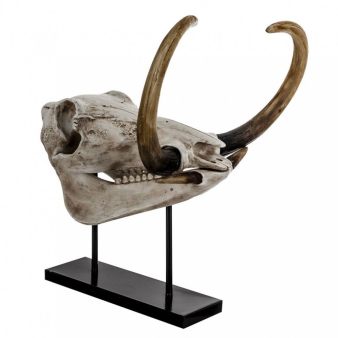 Escultura fósil craneo animal 58m en resina