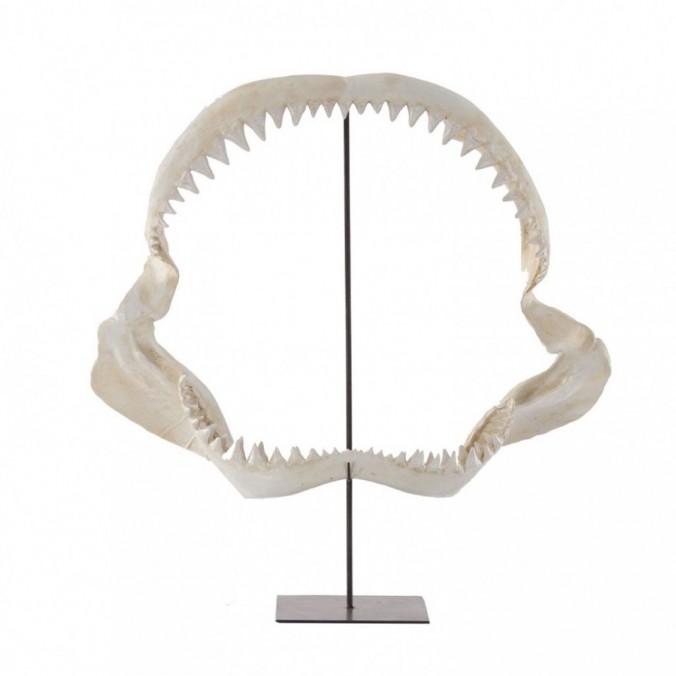 Escultura dentadura de tiburón 71cm en resina